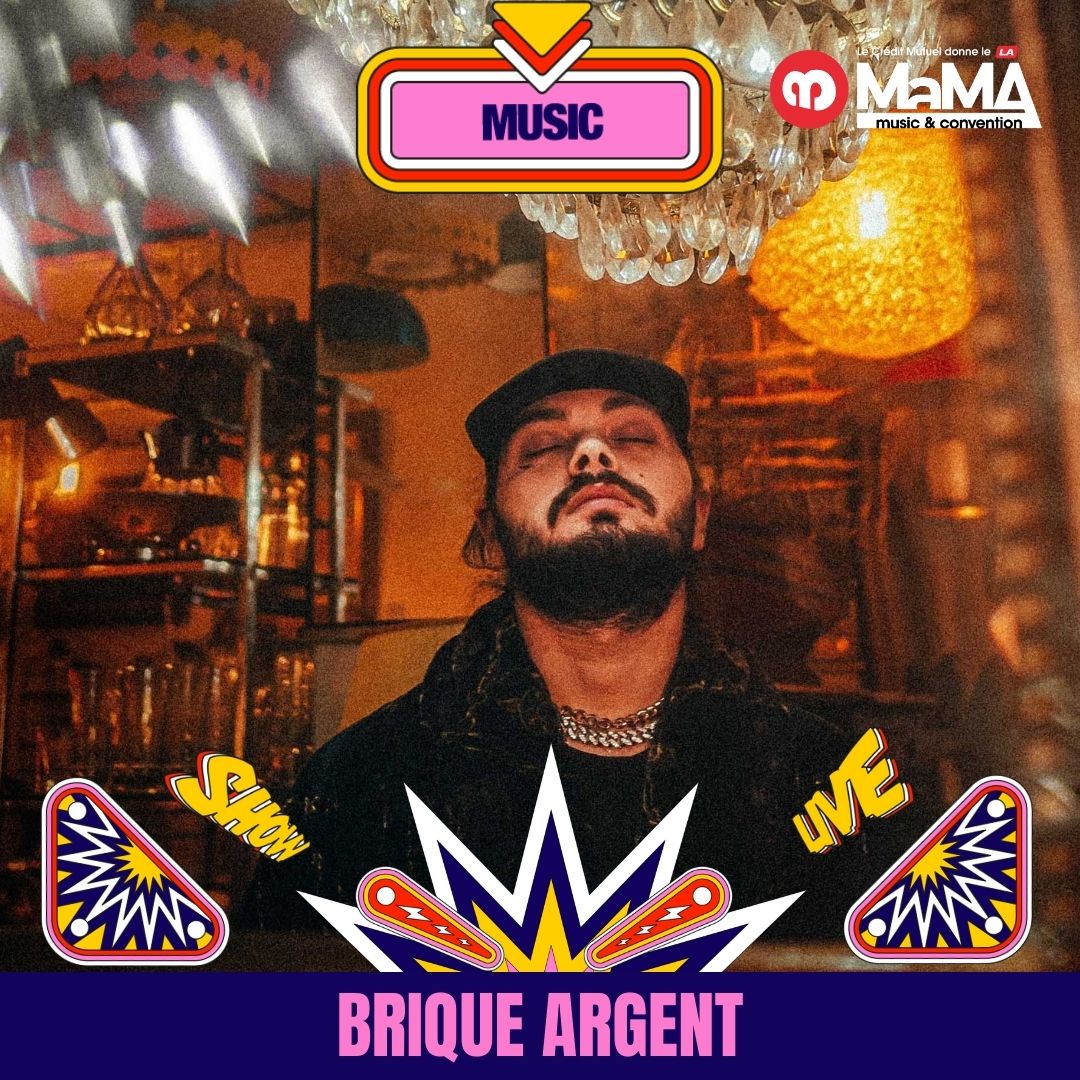 BRIQUE ARGENT