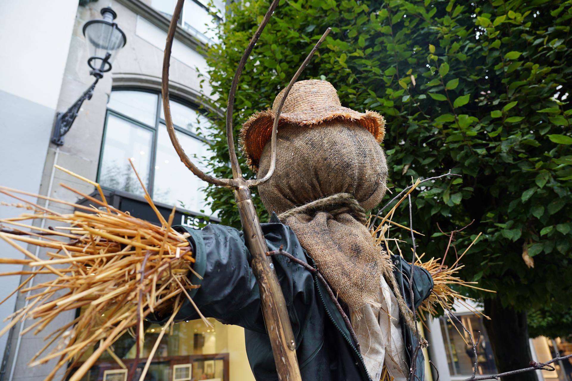 Die Vogelscheuche muss weg! | IHZ