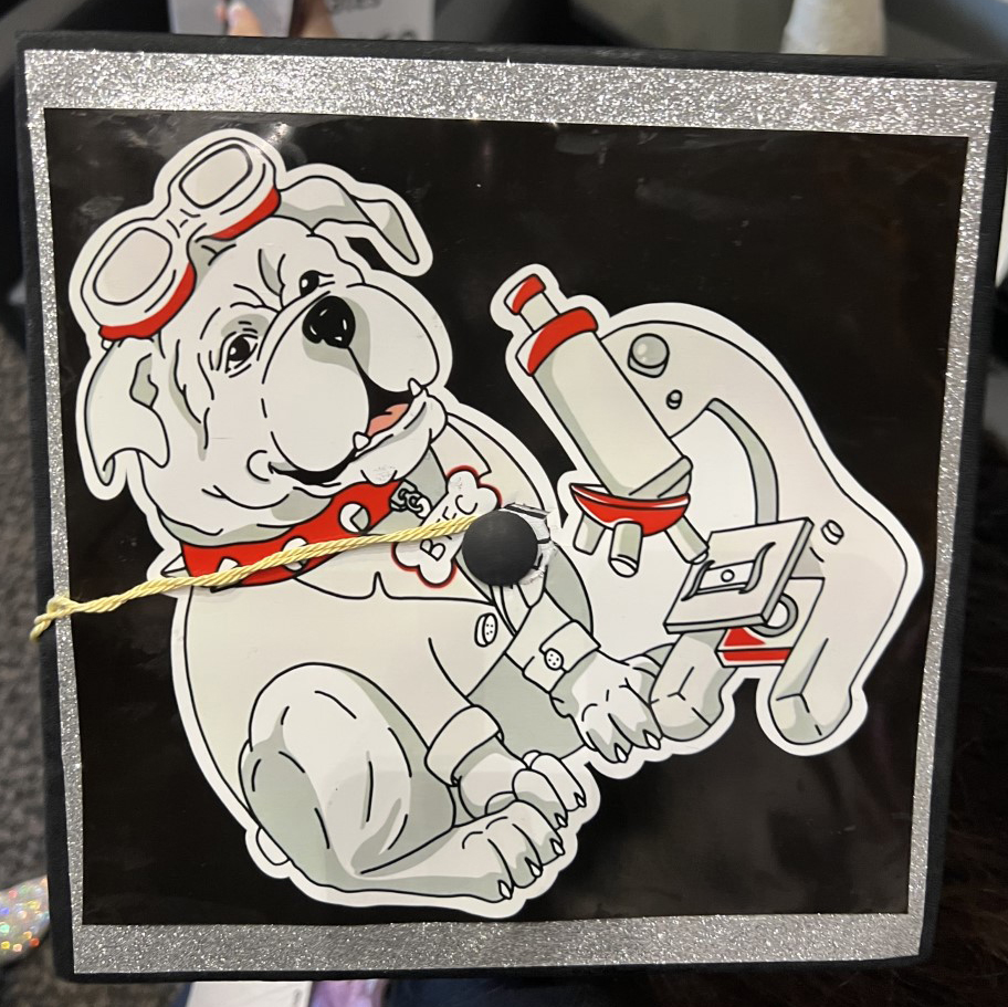 Bulldog with a Microscope Hat