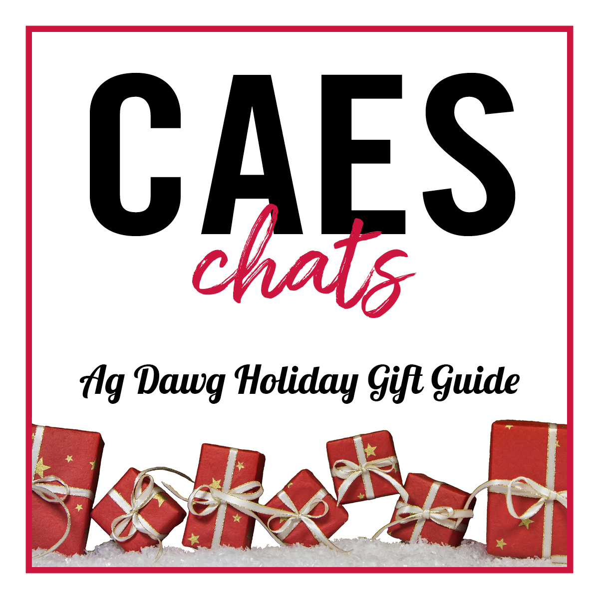 CAES Chats with Ag Dawg Holiday Gift Guide