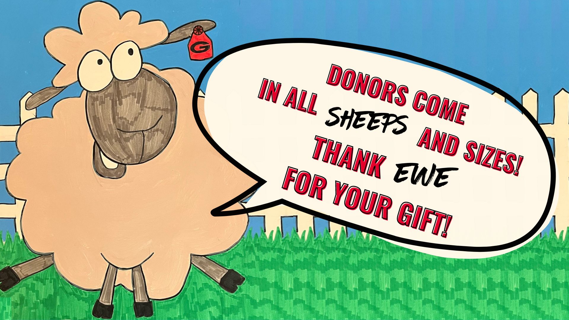 Sheep saying, ''Donors come in all sheeps and sizes! Thank ewe for your gift!''