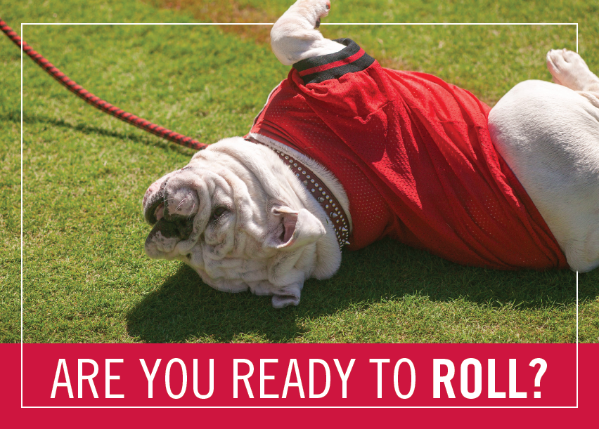Are You Ready to Roll?