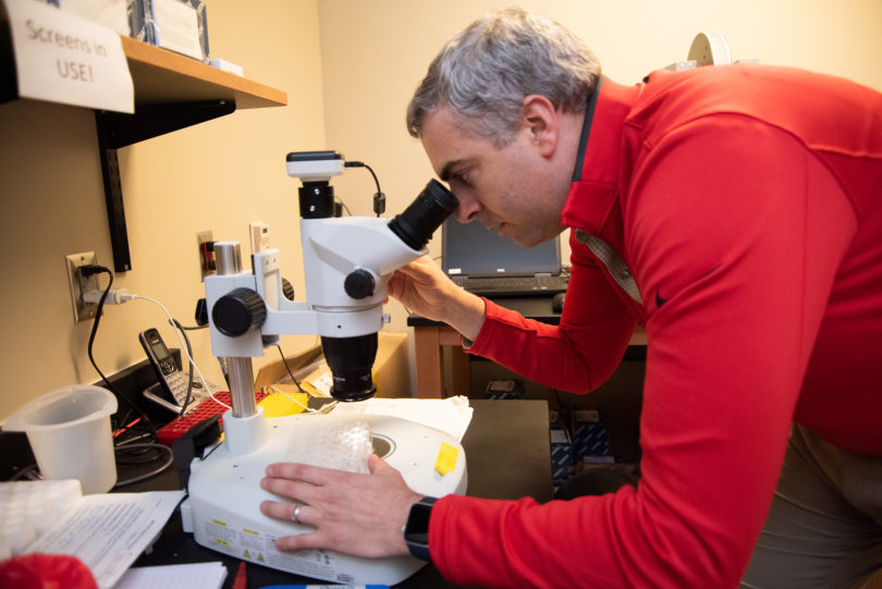 Dr. Scott Pegan looks into a microscope