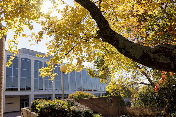 Andrea Bruce named inaugural Knight Chair in Visual Journalism